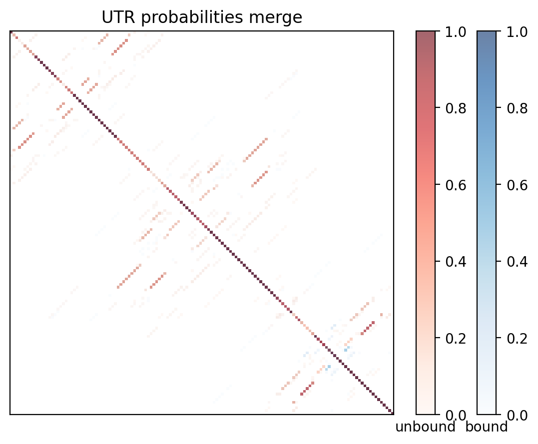 Heatmap of base pair probabilities for computational NUPACK foldings of the 5prime UTR with the bound and unbound conformers overlaid