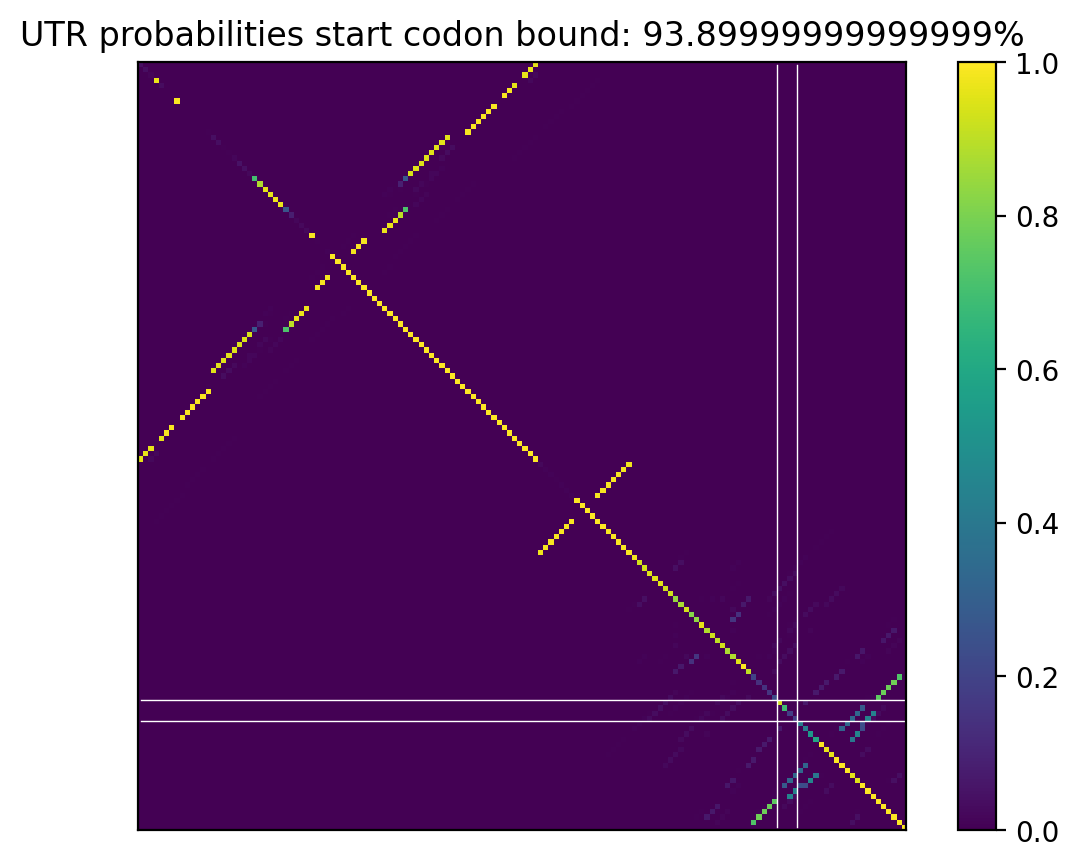 Heatmap of base pair probabilities for computational NUPACK foldings of the 5prime UTR that leave the start codon bound