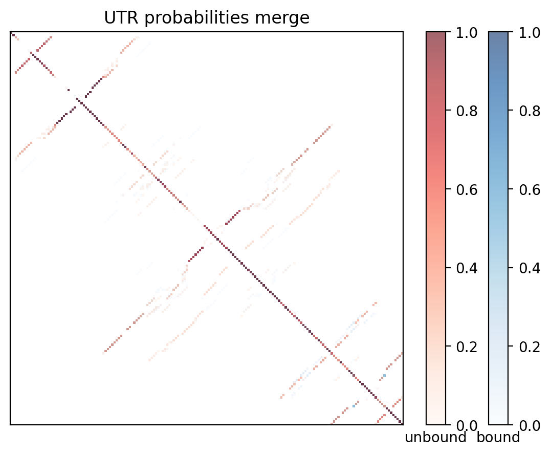 Heatmap of base pair probabilities for computational NUPACK foldings of the 5prime UTR with the bound and unbound conformers overlaid
