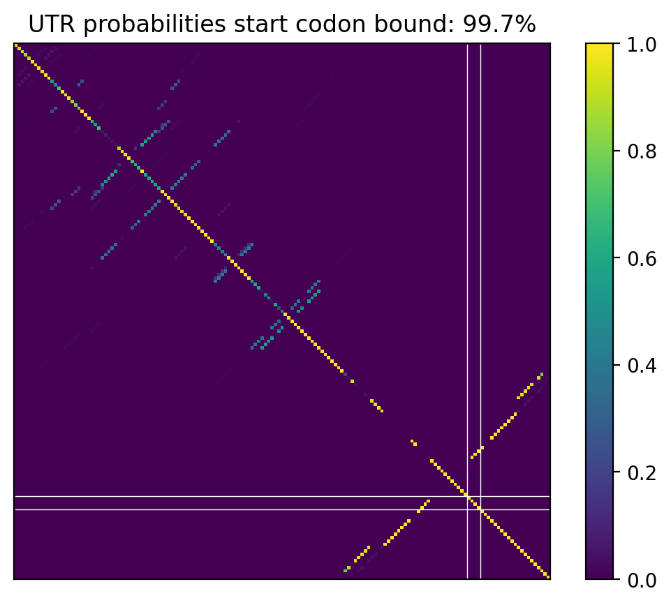 Heatmap of base pair probabilities for computational NUPACK foldings of the 5prime UTR that leave the start codon bound