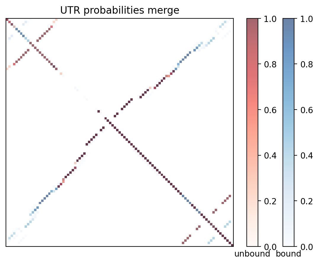 Heatmap of base pair probabilities for computational NUPACK foldings of the 5prime UTR with the bound and unbound conformers overlaid