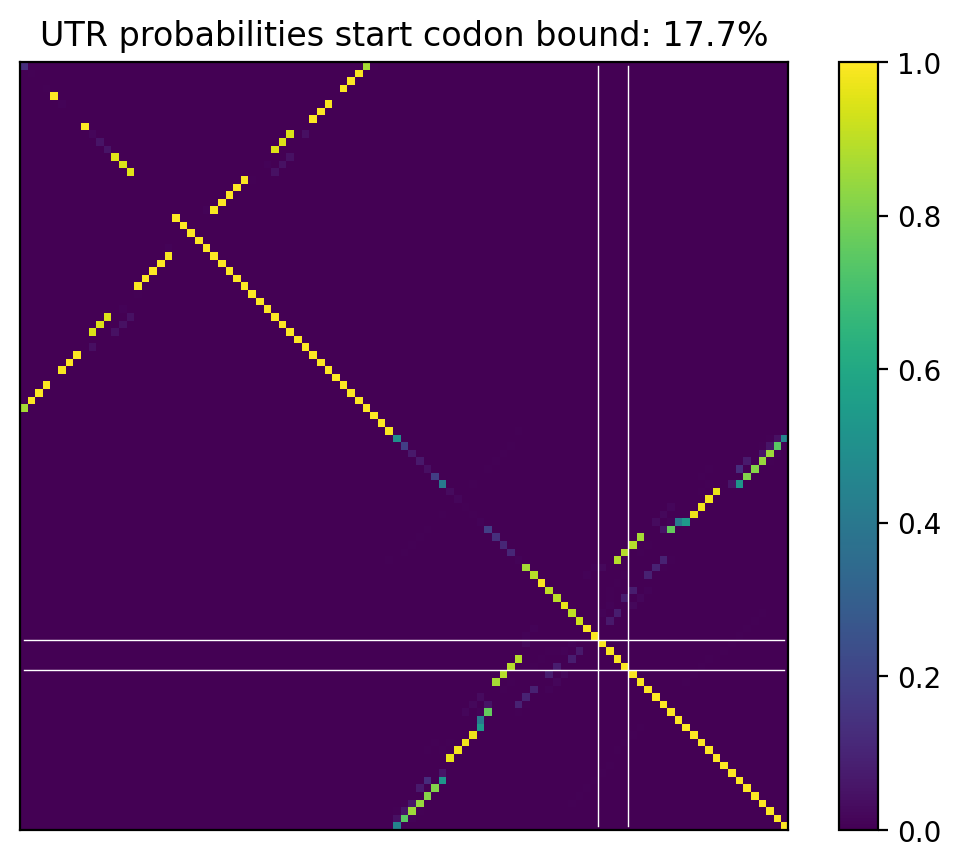Heatmap of base pair probabilities for computational NUPACK foldings of the 5prime UTR that leave the start codon bound