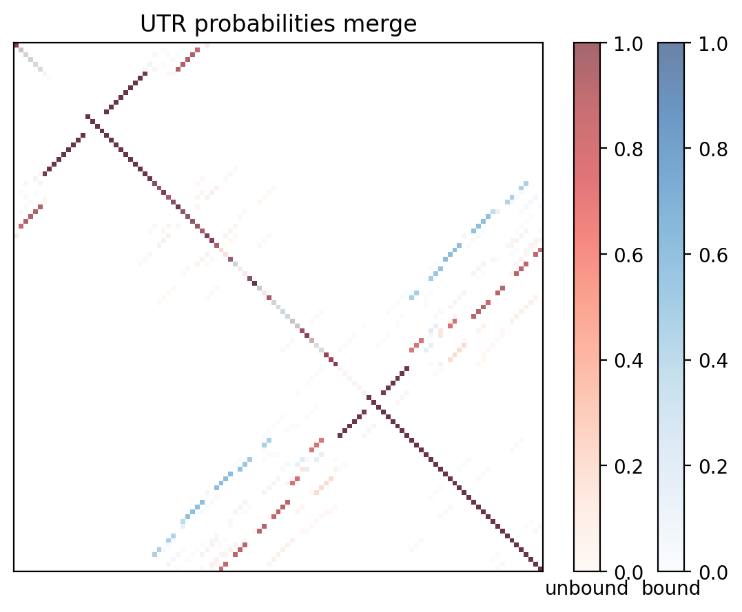Heatmap of base pair probabilities for computational NUPACK foldings of the 5prime UTR with the bound and unbound conformers overlaid