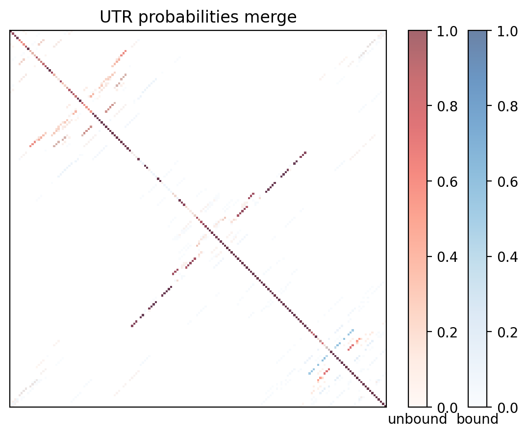 Heatmap of base pair probabilities for computational NUPACK foldings of the 5prime UTR with the bound and unbound conformers overlaid