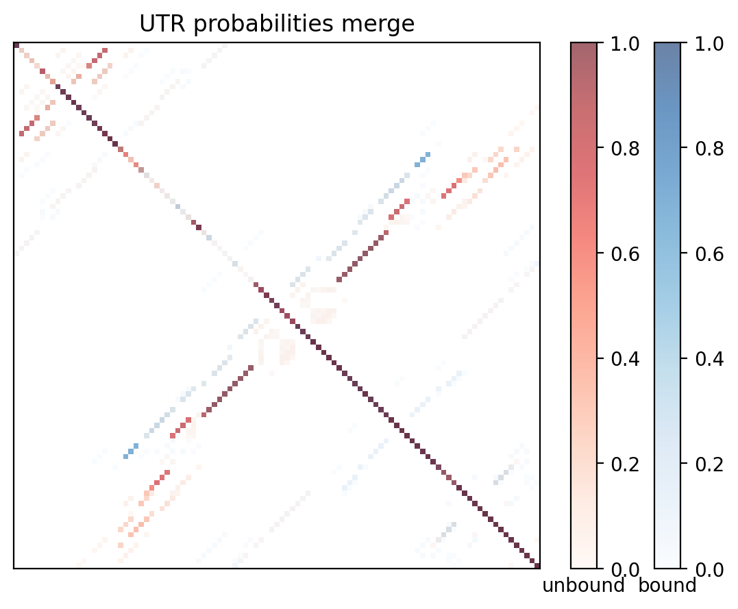 Heatmap of base pair probabilities for computational NUPACK foldings of the 5prime UTR with the bound and unbound conformers overlaid