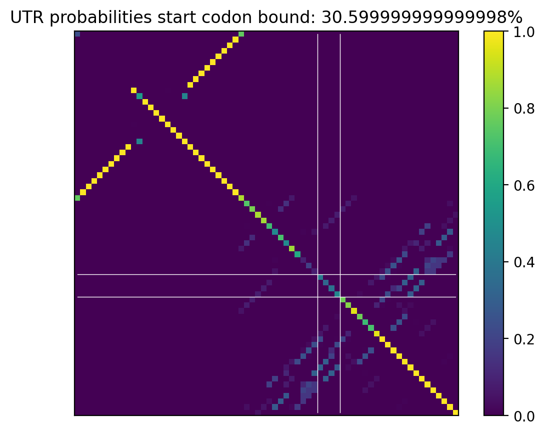 Heatmap of base pair probabilities for computational NUPACK foldings of the 5prime UTR that leave the start codon bound