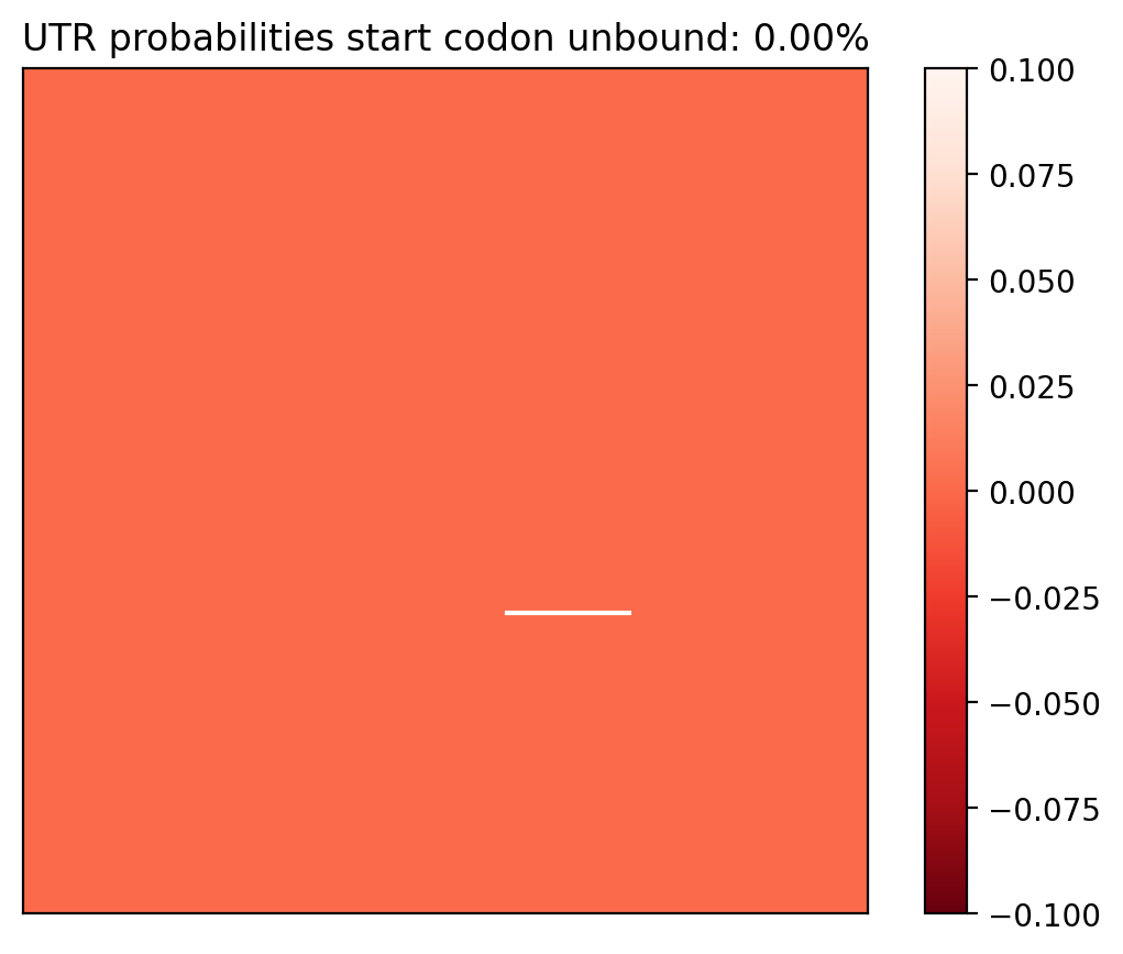 Heatmap of base pair probabilities for computational NUPACK foldings of the 5prime UTR that leave the start codon unbound