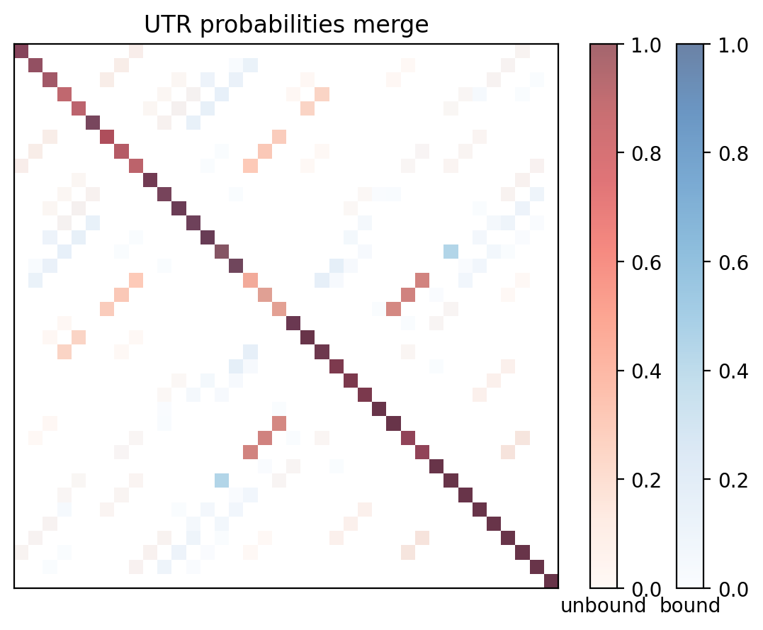 Heatmap of base pair probabilities for computational NUPACK foldings of the 5prime UTR with the bound and unbound conformers overlaid