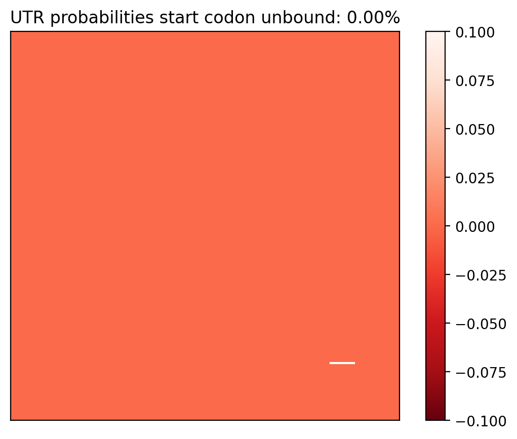 Heatmap of base pair probabilities for computational NUPACK foldings of the 5prime UTR that leave the start codon unbound