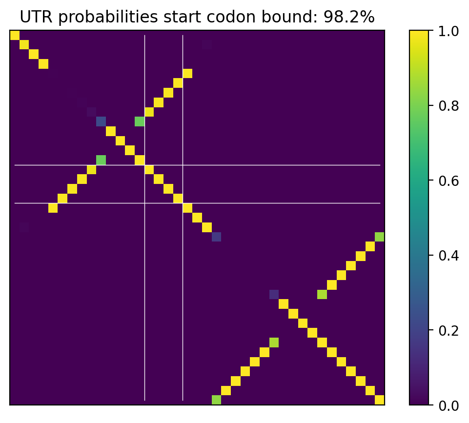 Heatmap of base pair probabilities for computational NUPACK foldings of the 5prime UTR that leave the start codon bound