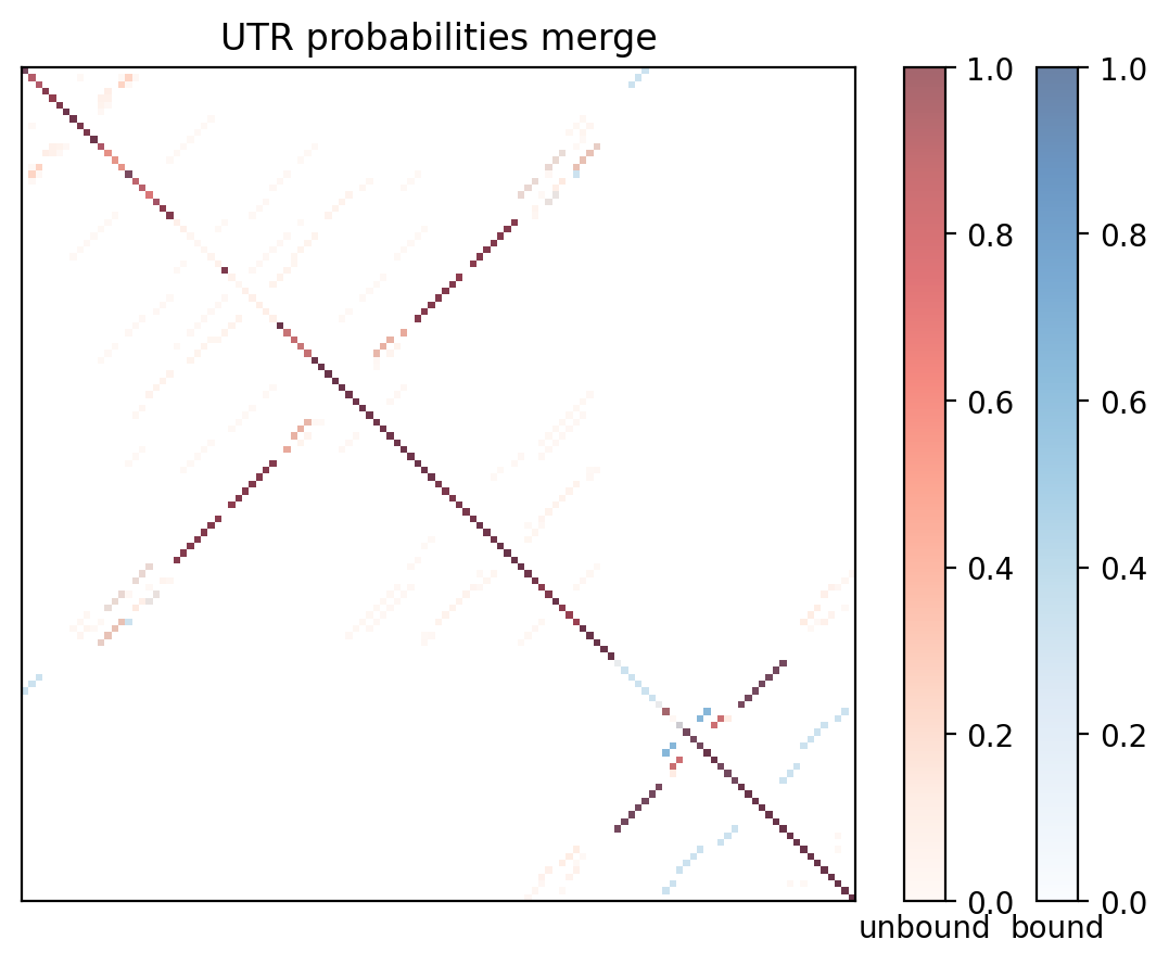 Heatmap of base pair probabilities for computational NUPACK foldings of the 5prime UTR with the bound and unbound conformers overlaid
