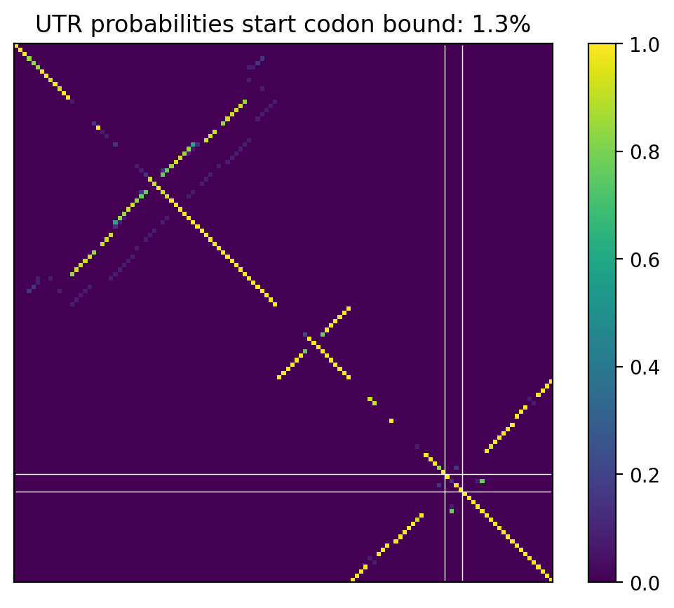 Heatmap of base pair probabilities for computational NUPACK foldings of the 5prime UTR that leave the start codon bound