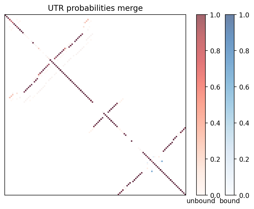Heatmap of base pair probabilities for computational NUPACK foldings of the 5prime UTR with the bound and unbound conformers overlaid