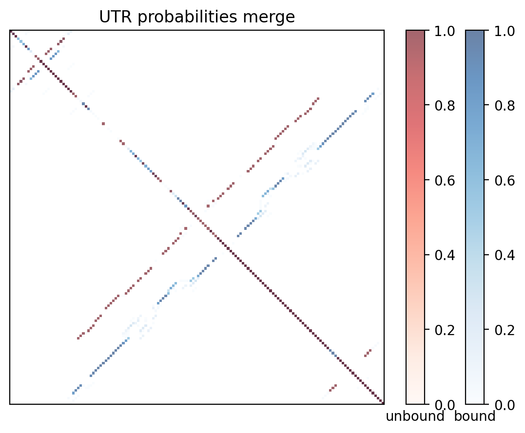 Heatmap of base pair probabilities for computational NUPACK foldings of the 5prime UTR with the bound and unbound conformers overlaid