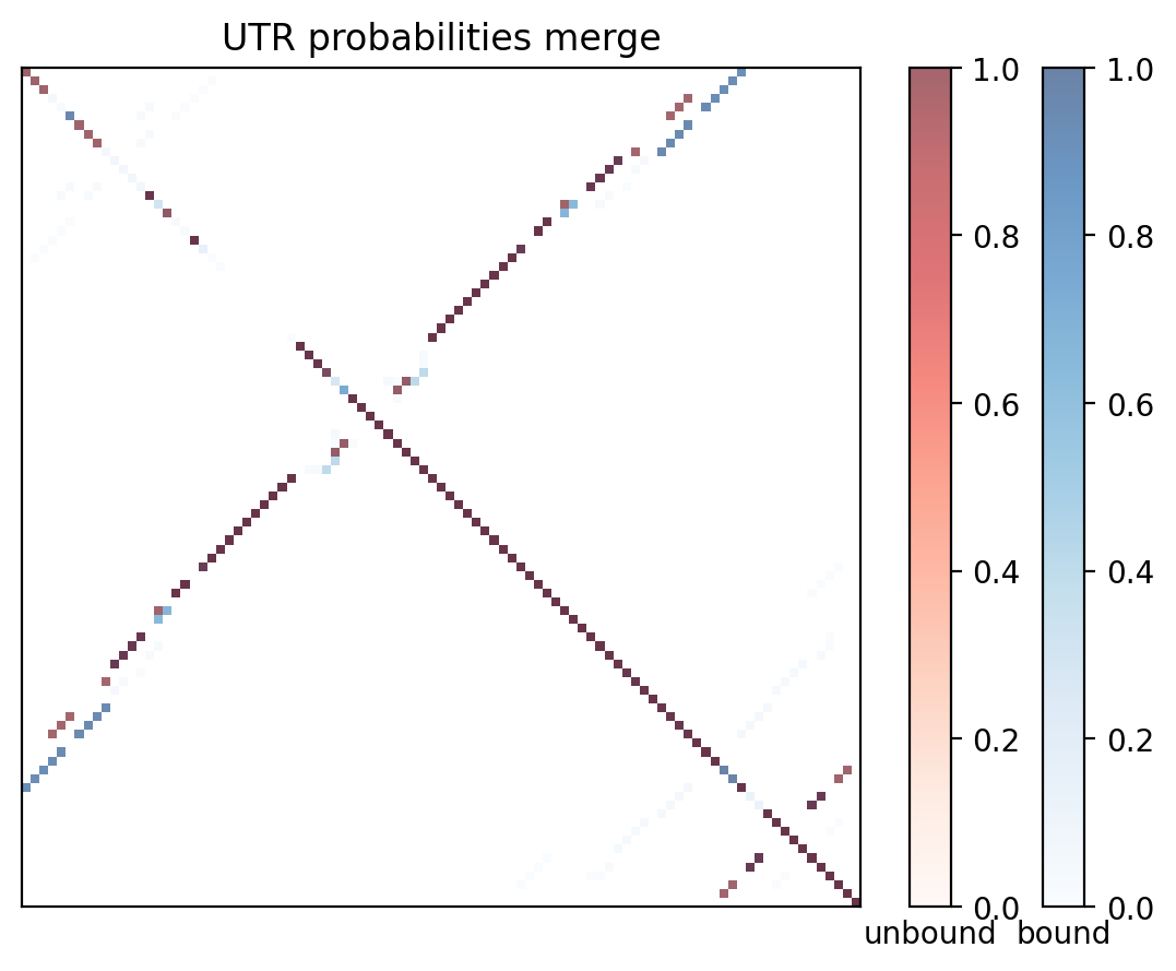 Heatmap of base pair probabilities for computational NUPACK foldings of the 5prime UTR with the bound and unbound conformers overlaid