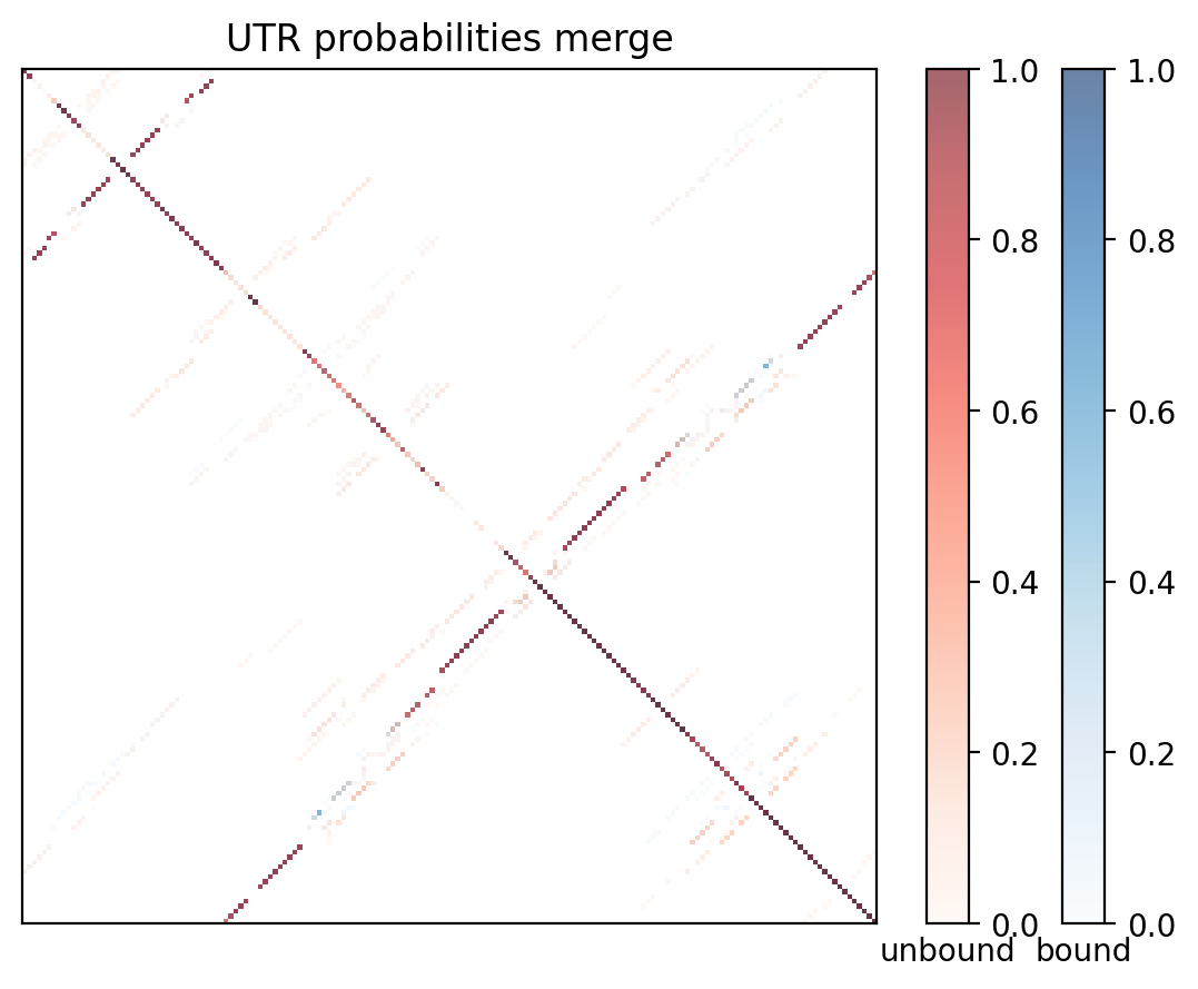 Heatmap of base pair probabilities for computational NUPACK foldings of the 5prime UTR with the bound and unbound conformers overlaid
