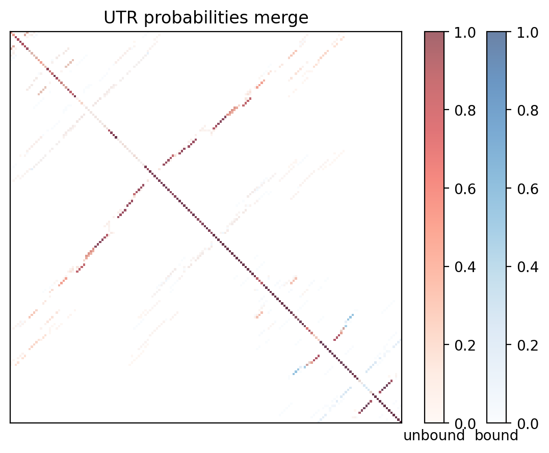Heatmap of base pair probabilities for computational NUPACK foldings of the 5prime UTR with the bound and unbound conformers overlaid