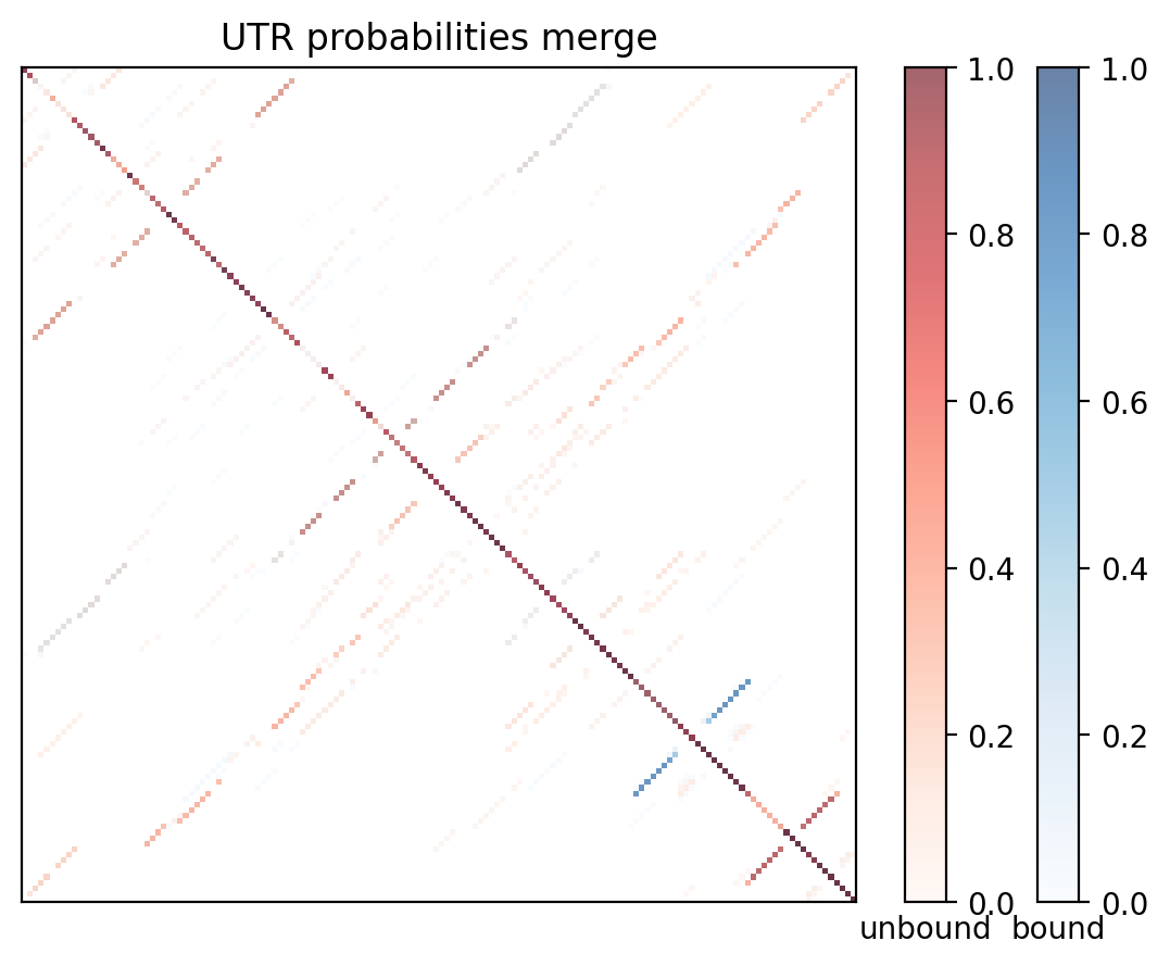 Heatmap of base pair probabilities for computational NUPACK foldings of the 5prime UTR with the bound and unbound conformers overlaid