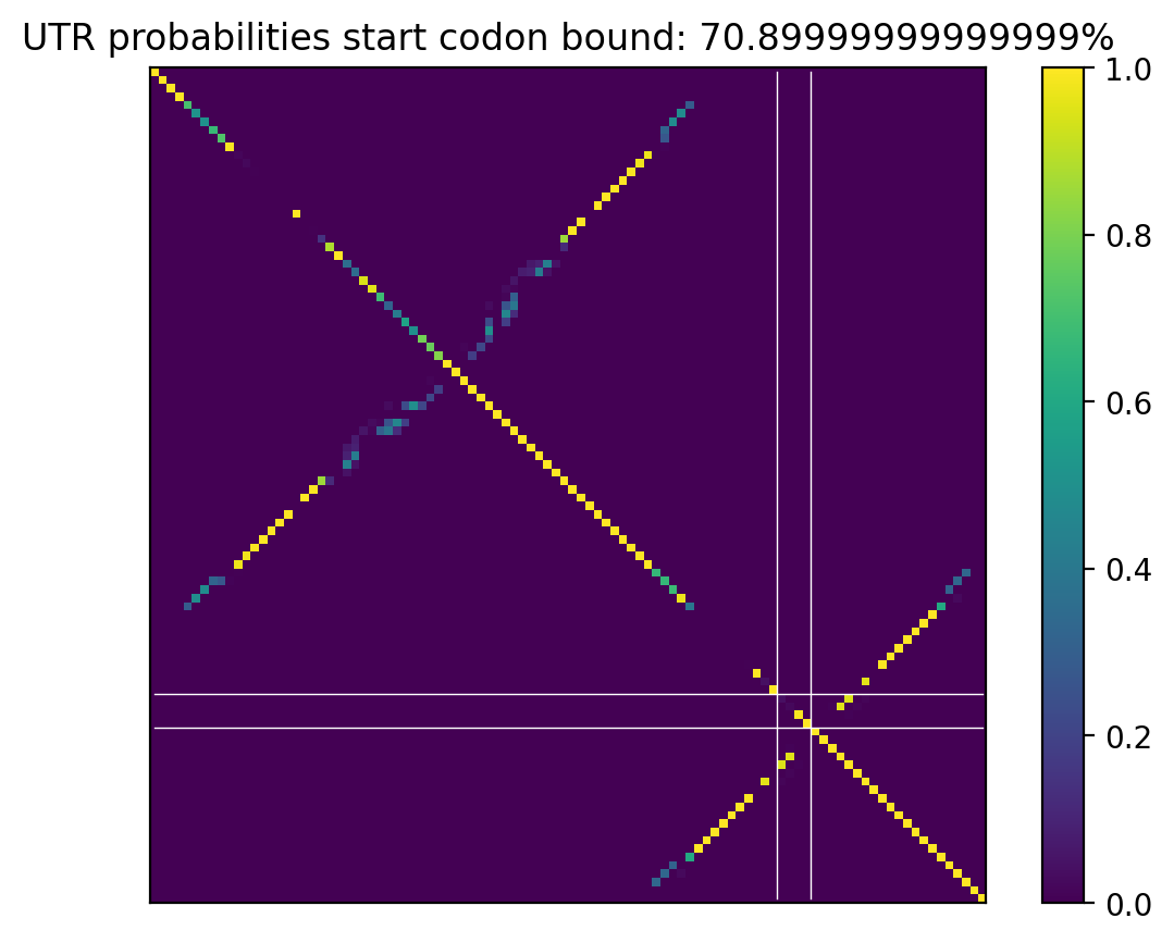 Heatmap of base pair probabilities for computational NUPACK foldings of the 5prime UTR that leave the start codon bound