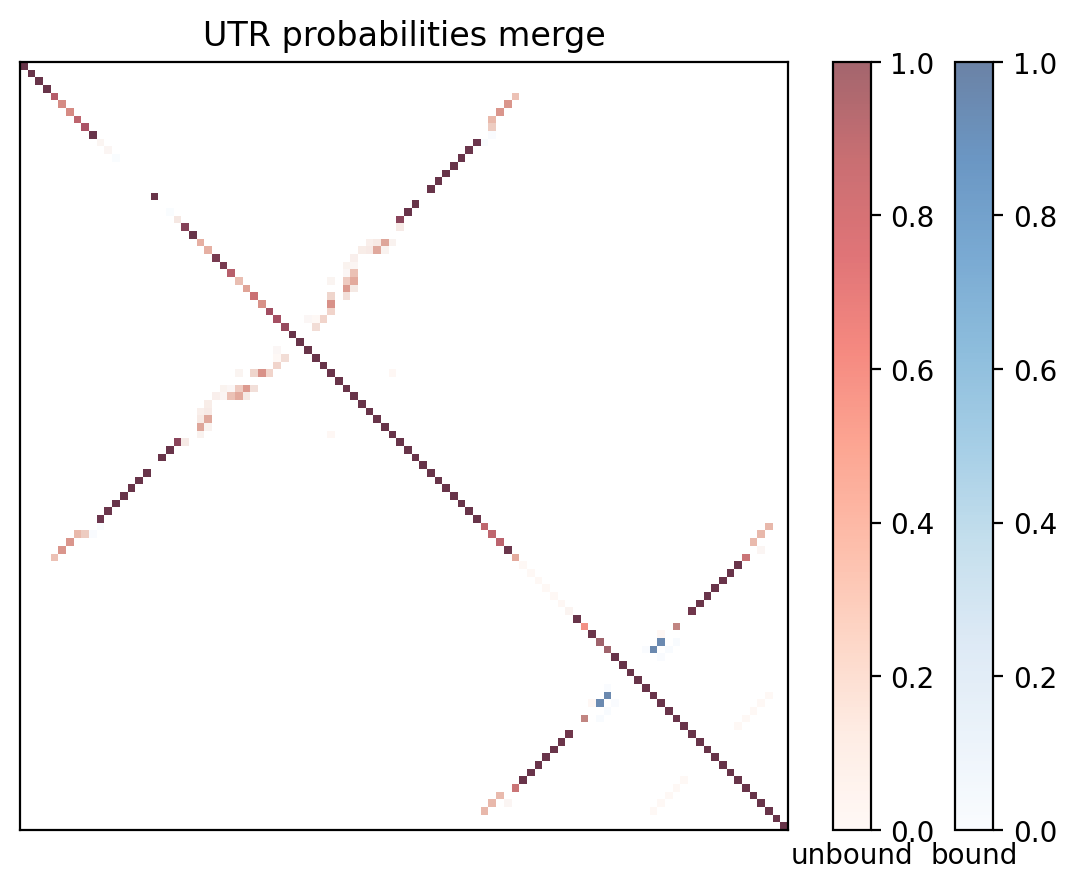 Heatmap of base pair probabilities for computational NUPACK foldings of the 5prime UTR with the bound and unbound conformers overlaid