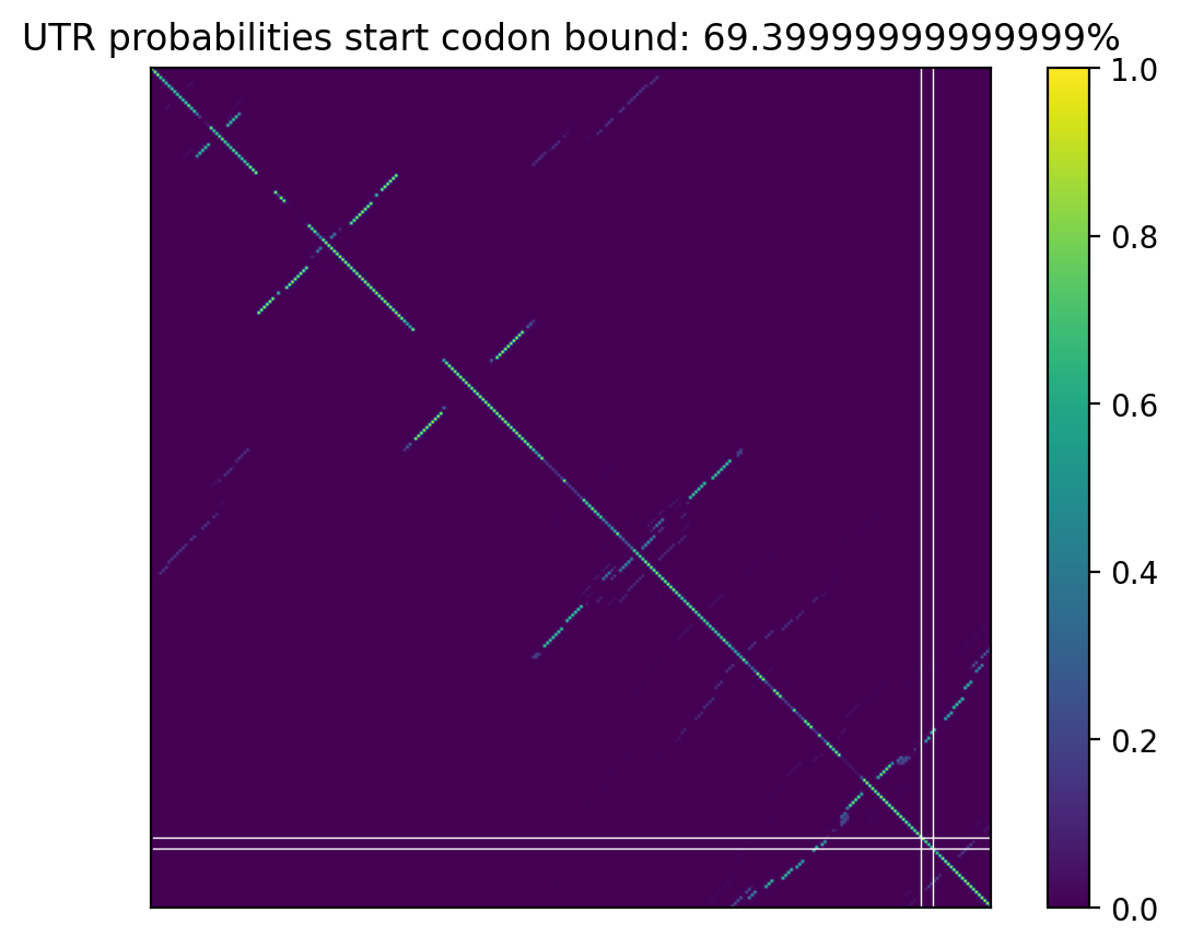 Heatmap of base pair probabilities for computational NUPACK foldings of the 5prime UTR that leave the start codon bound