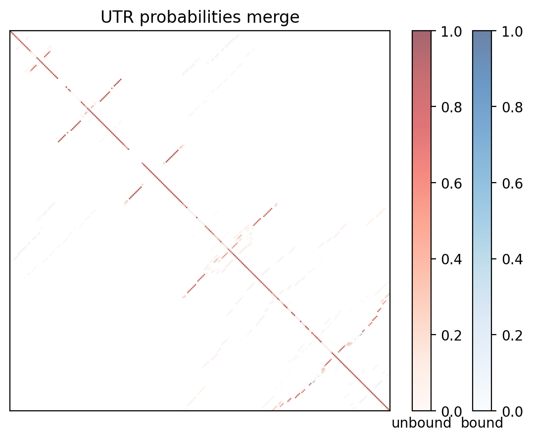 Heatmap of base pair probabilities for computational NUPACK foldings of the 5prime UTR with the bound and unbound conformers overlaid