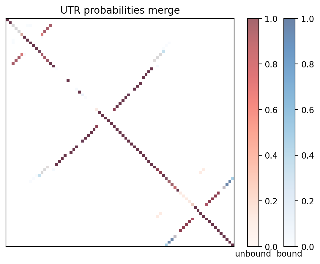 Heatmap of base pair probabilities for computational NUPACK foldings of the 5prime UTR with the bound and unbound conformers overlaid