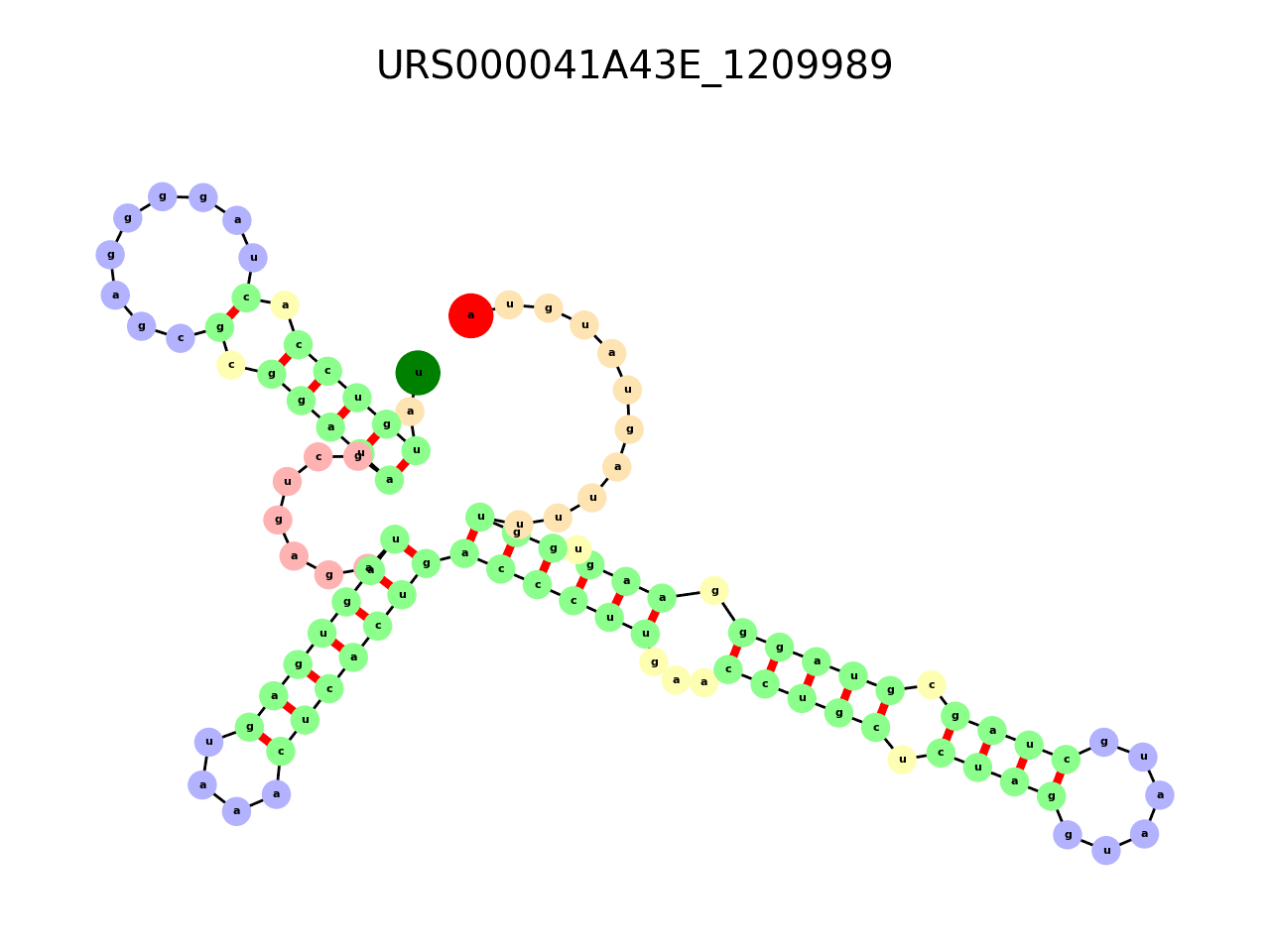 image of the secondary structure of the second Riboswitch match
