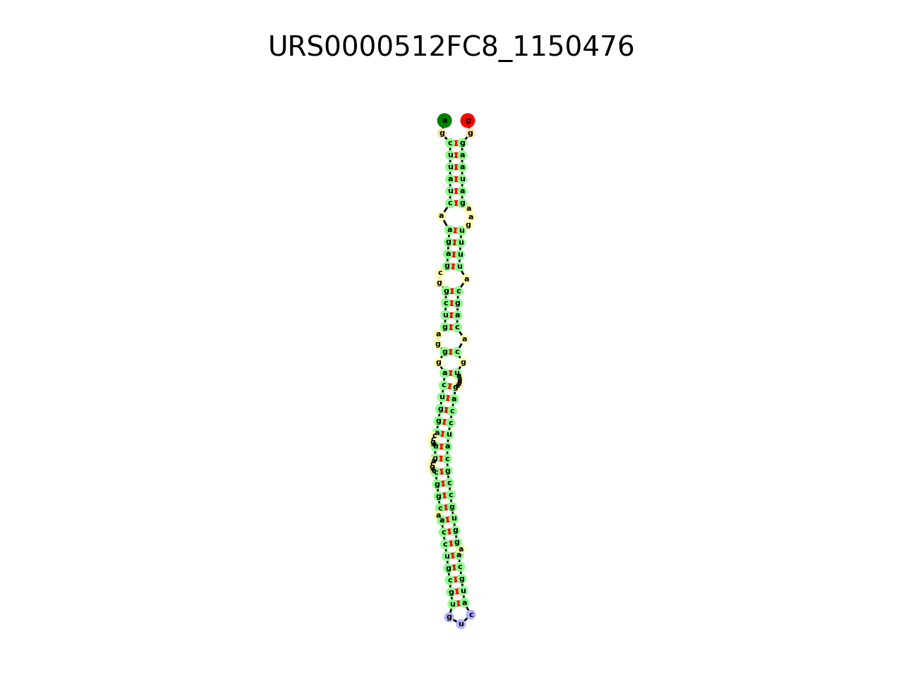 image of the secondary structure of the second Riboswitch match