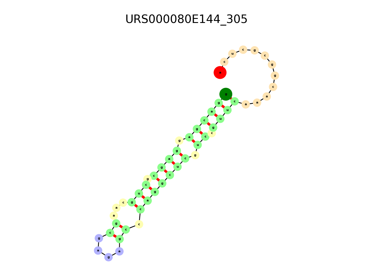 image of the secondary structure of the first Riboswitch match