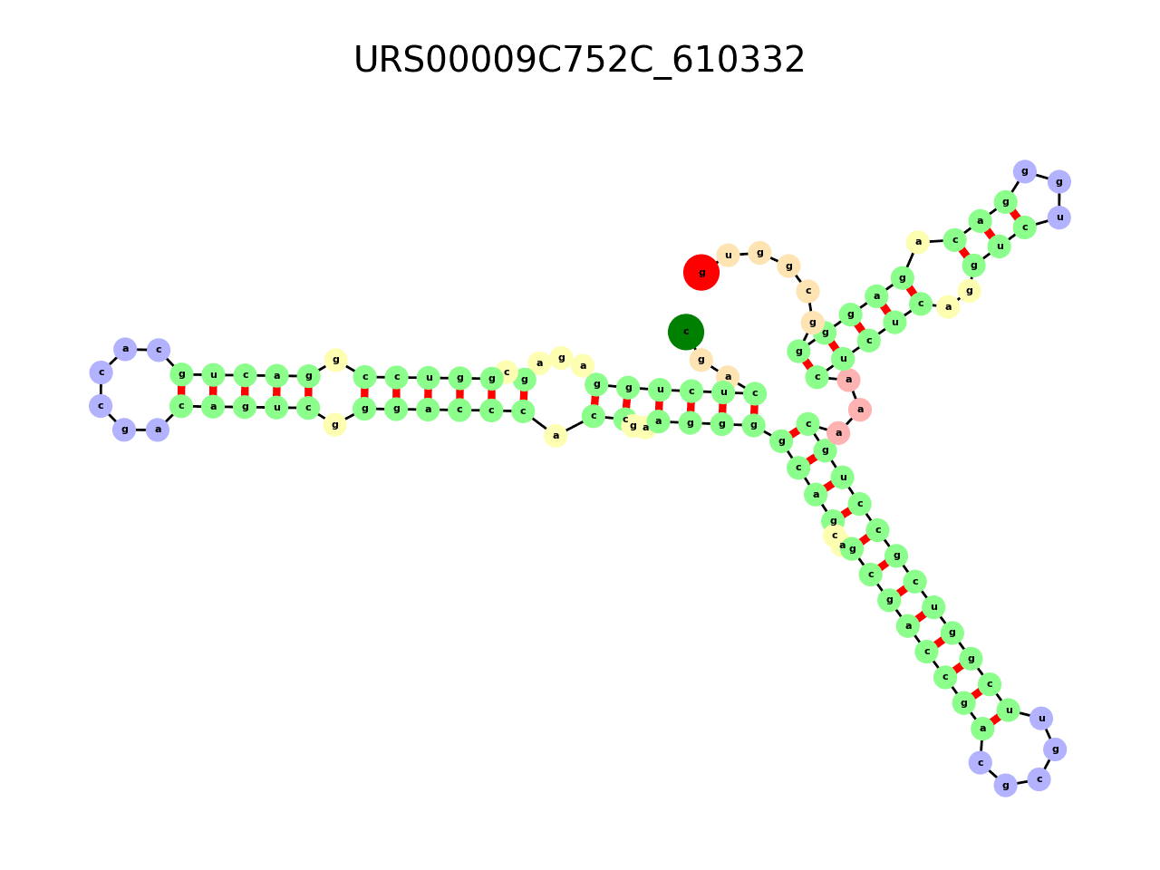 image of the secondary structure of the first Riboswitch match