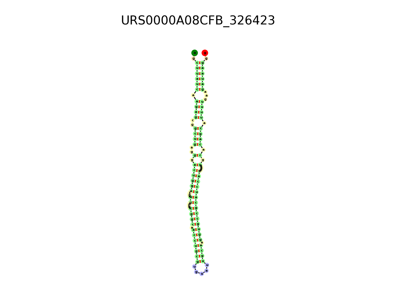 image of the secondary structure of the third Riboswitch match