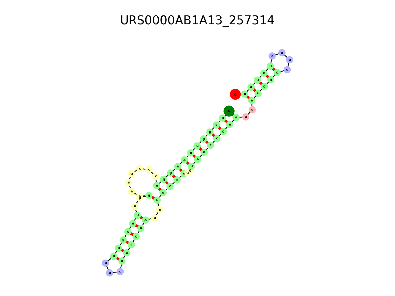 image of the secondary structure of the first Riboswitch match