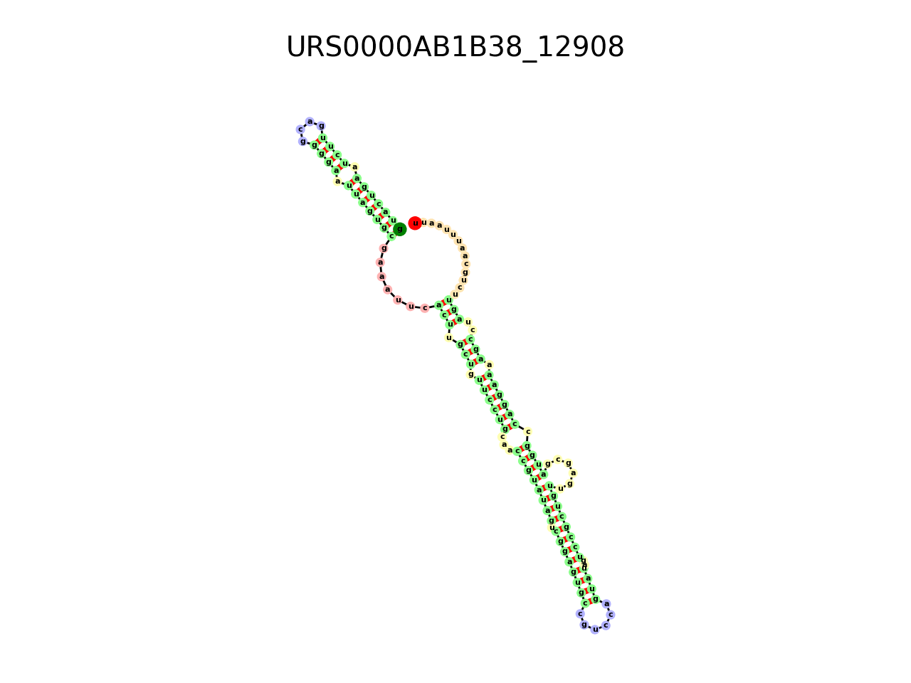 image of the secondary structure of the third Riboswitch match