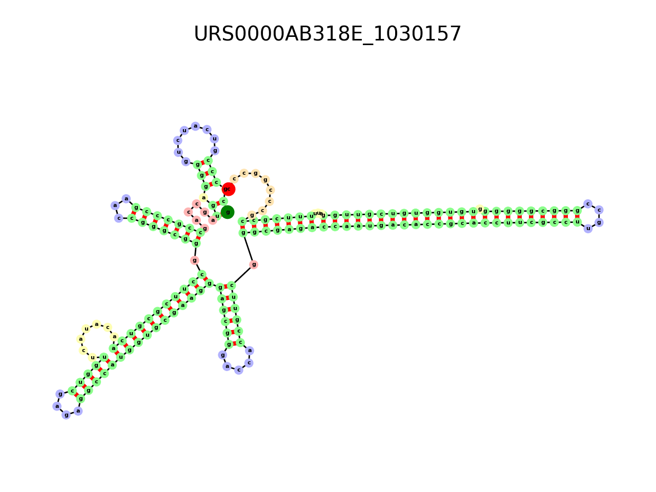 image of the secondary structure of the first Riboswitch match