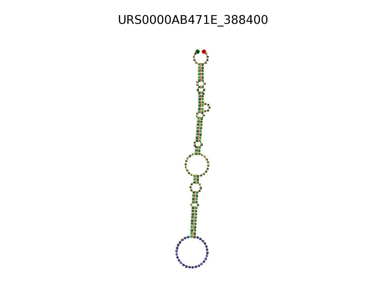 image of the secondary structure of the third Riboswitch match