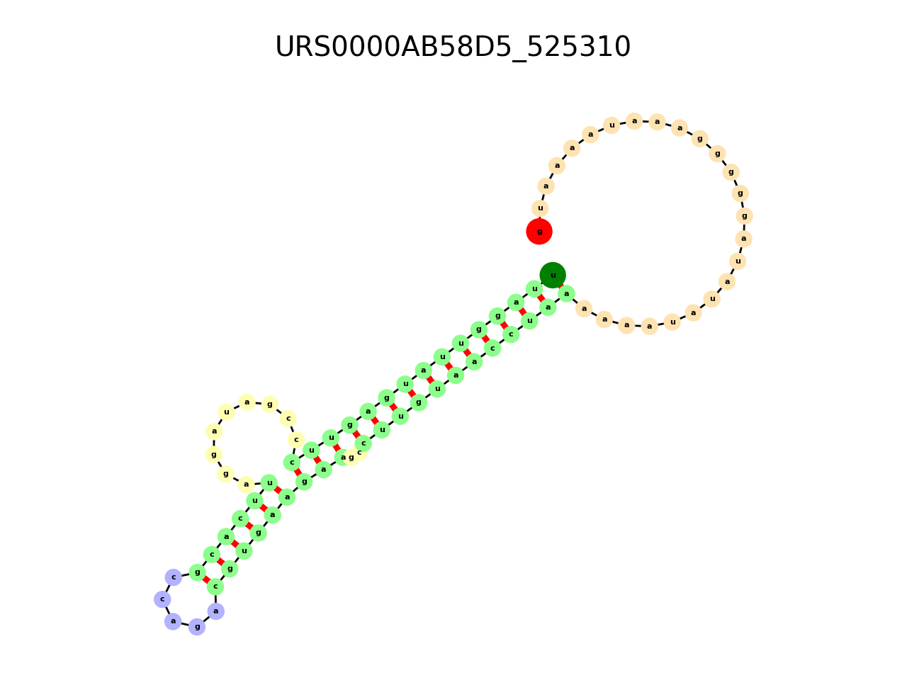 image of the secondary structure of the third Riboswitch match