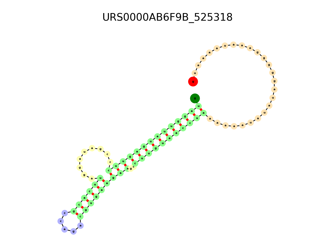 image of the secondary structure of the second Riboswitch match
