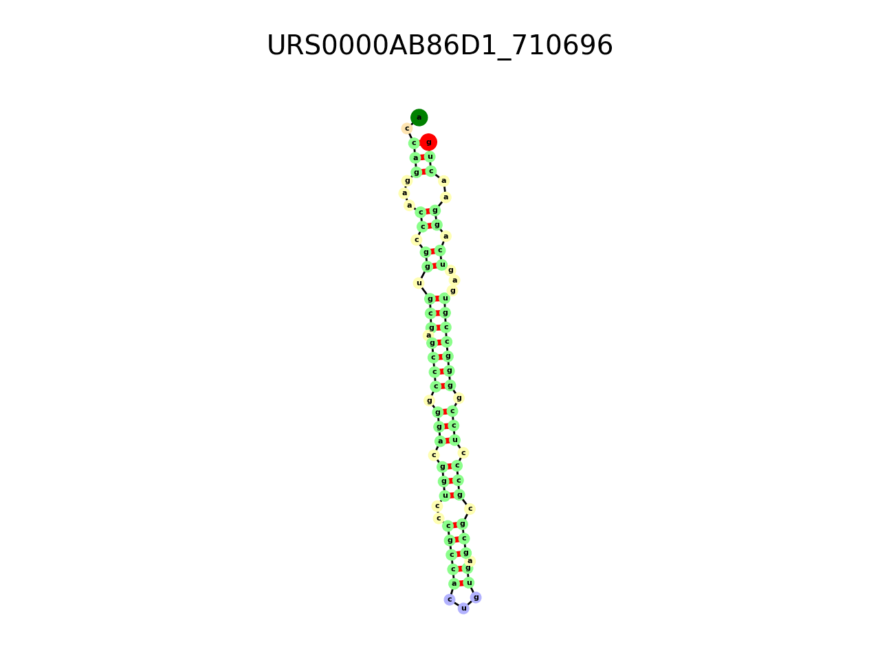 image of the secondary structure of the third Riboswitch match