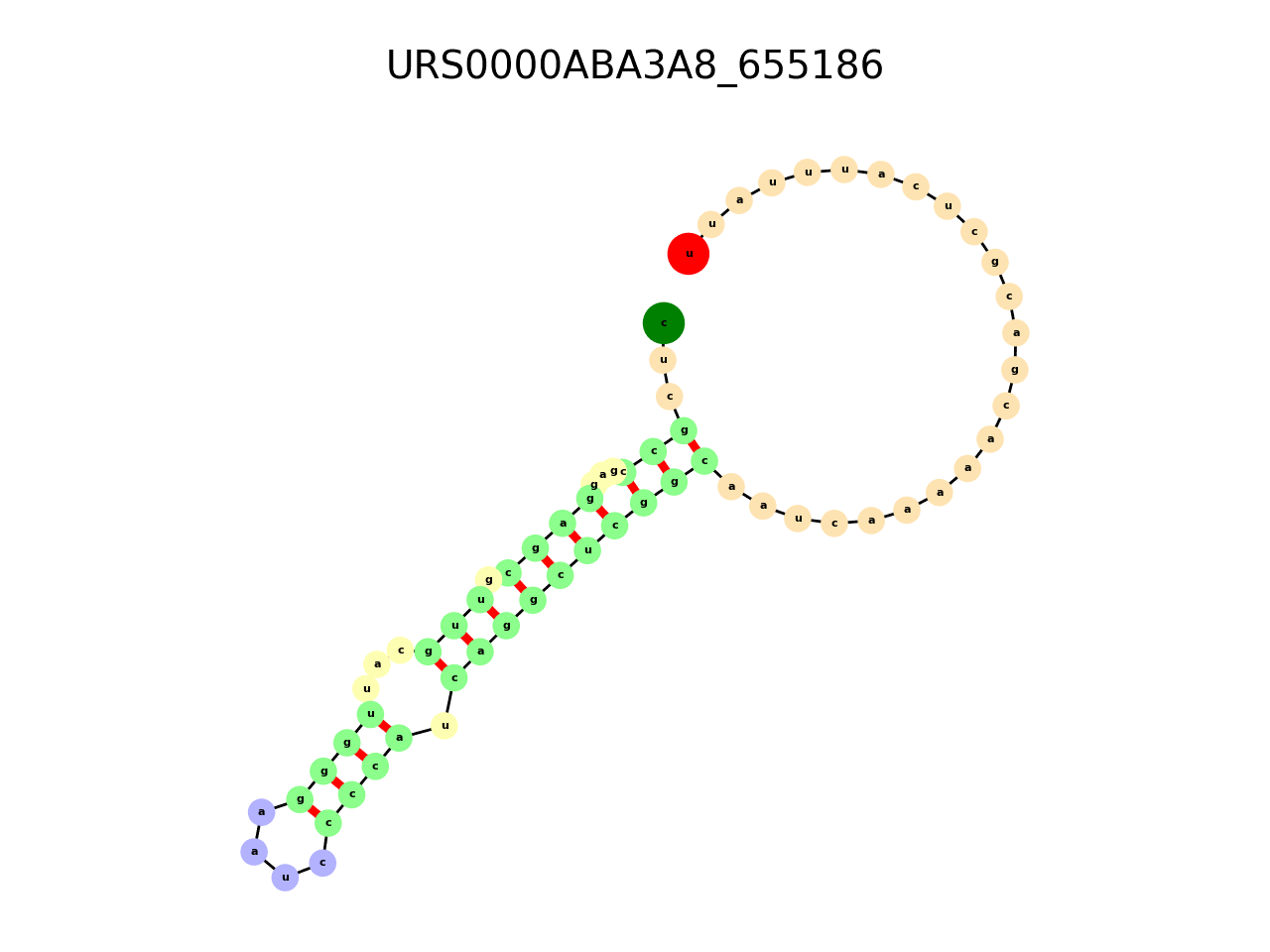 image of the secondary structure of the first Riboswitch match
