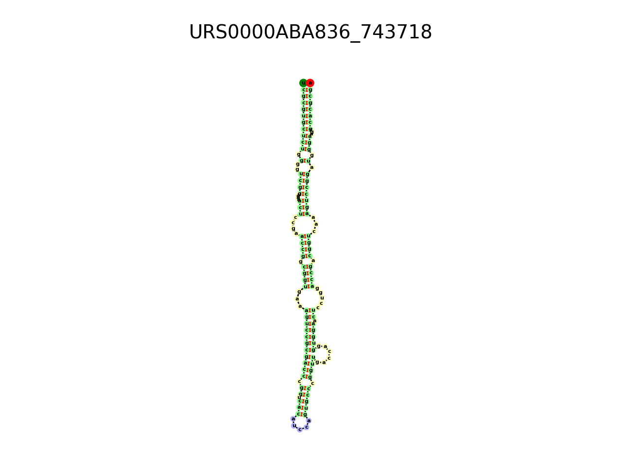 image of the secondary structure of the second Riboswitch match