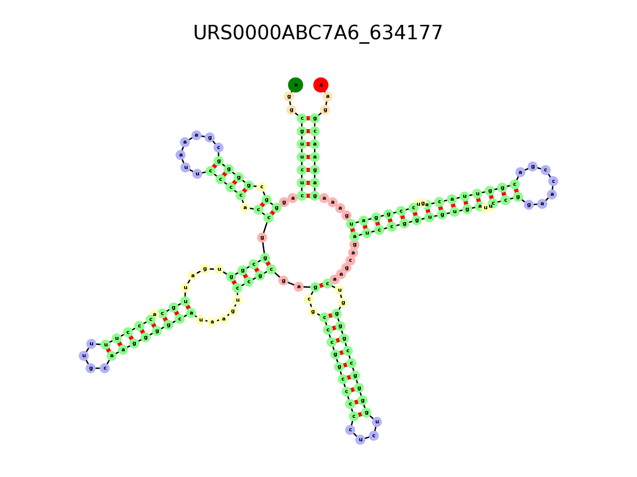 image of the secondary structure of the first Riboswitch match