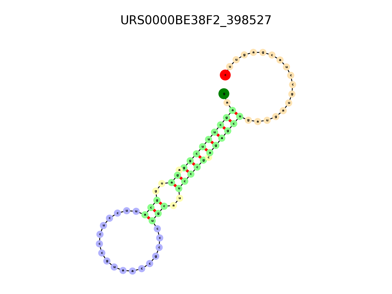 image of the secondary structure of the first Riboswitch match