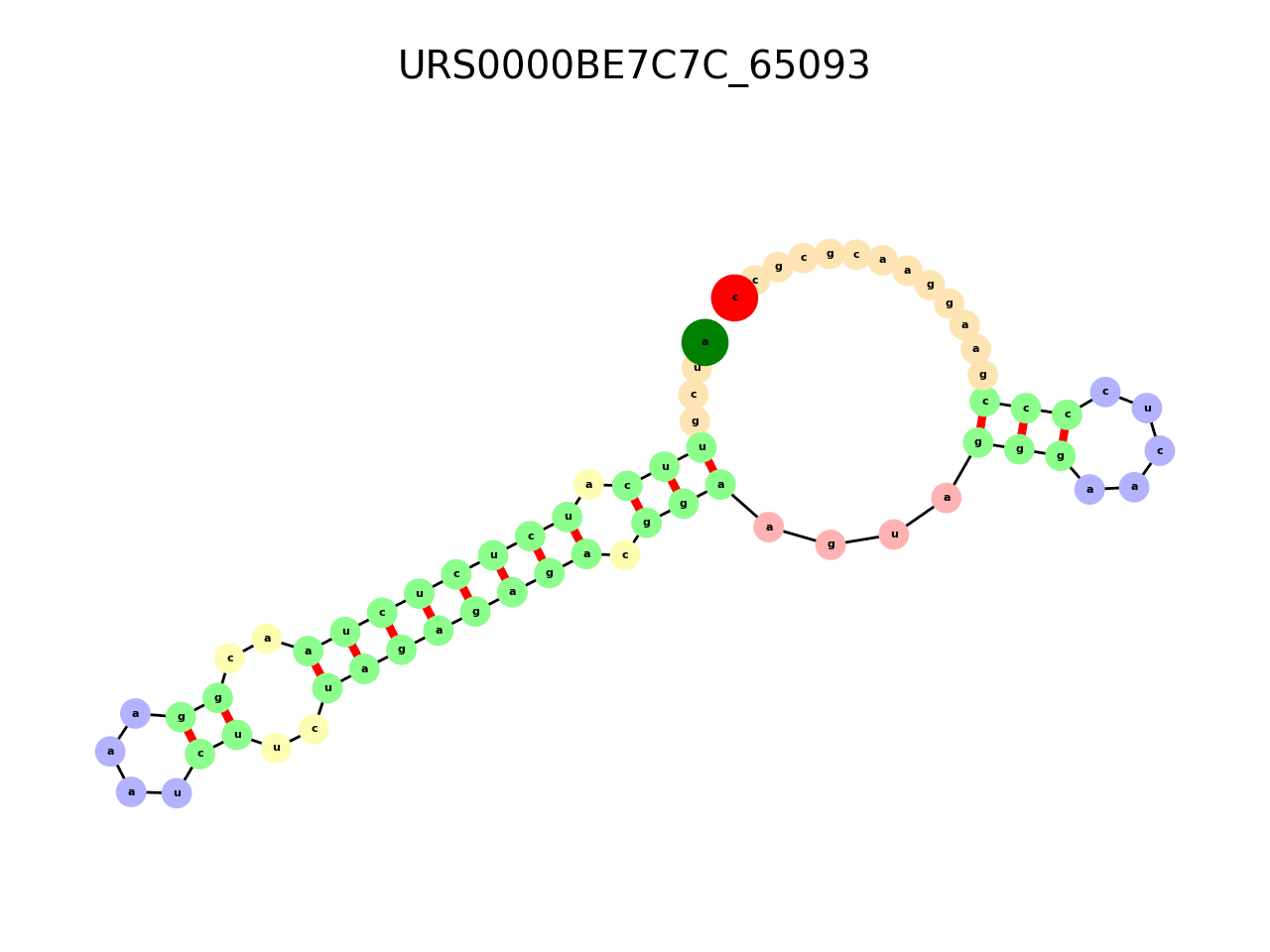 image of the secondary structure of the second Riboswitch match