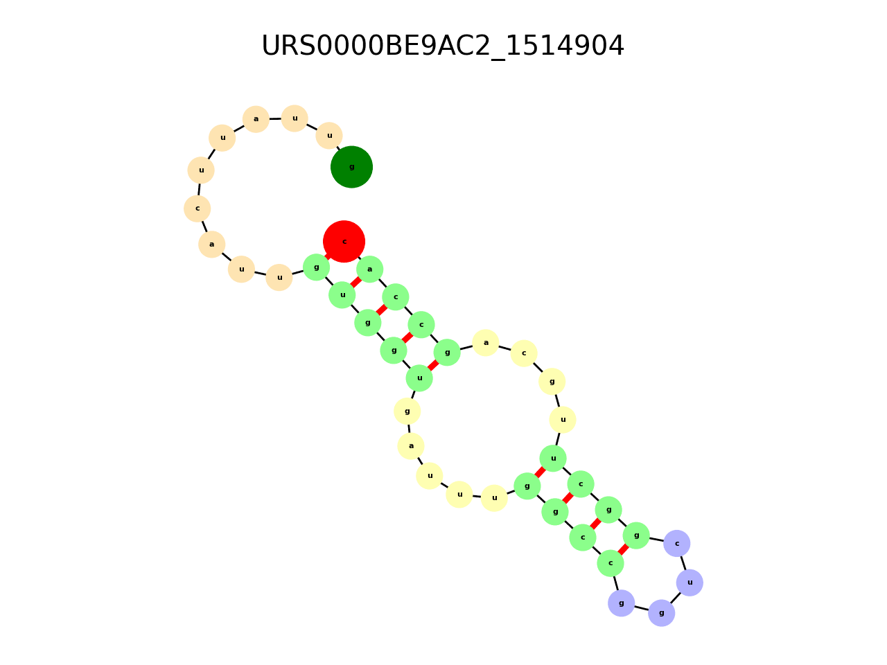 image of the secondary structure of the first Riboswitch match