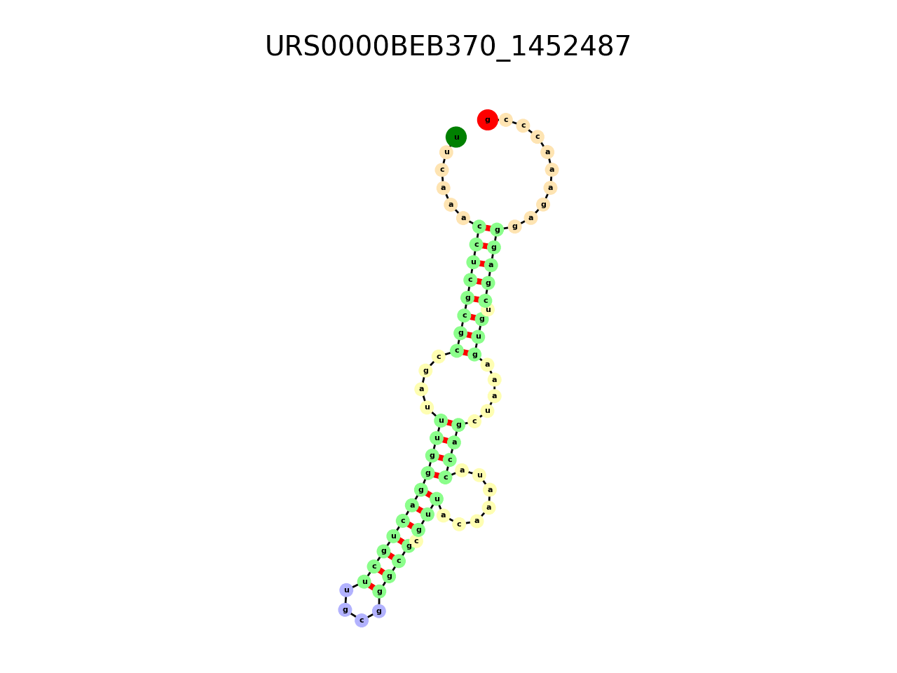 image of the secondary structure of the third Riboswitch match
