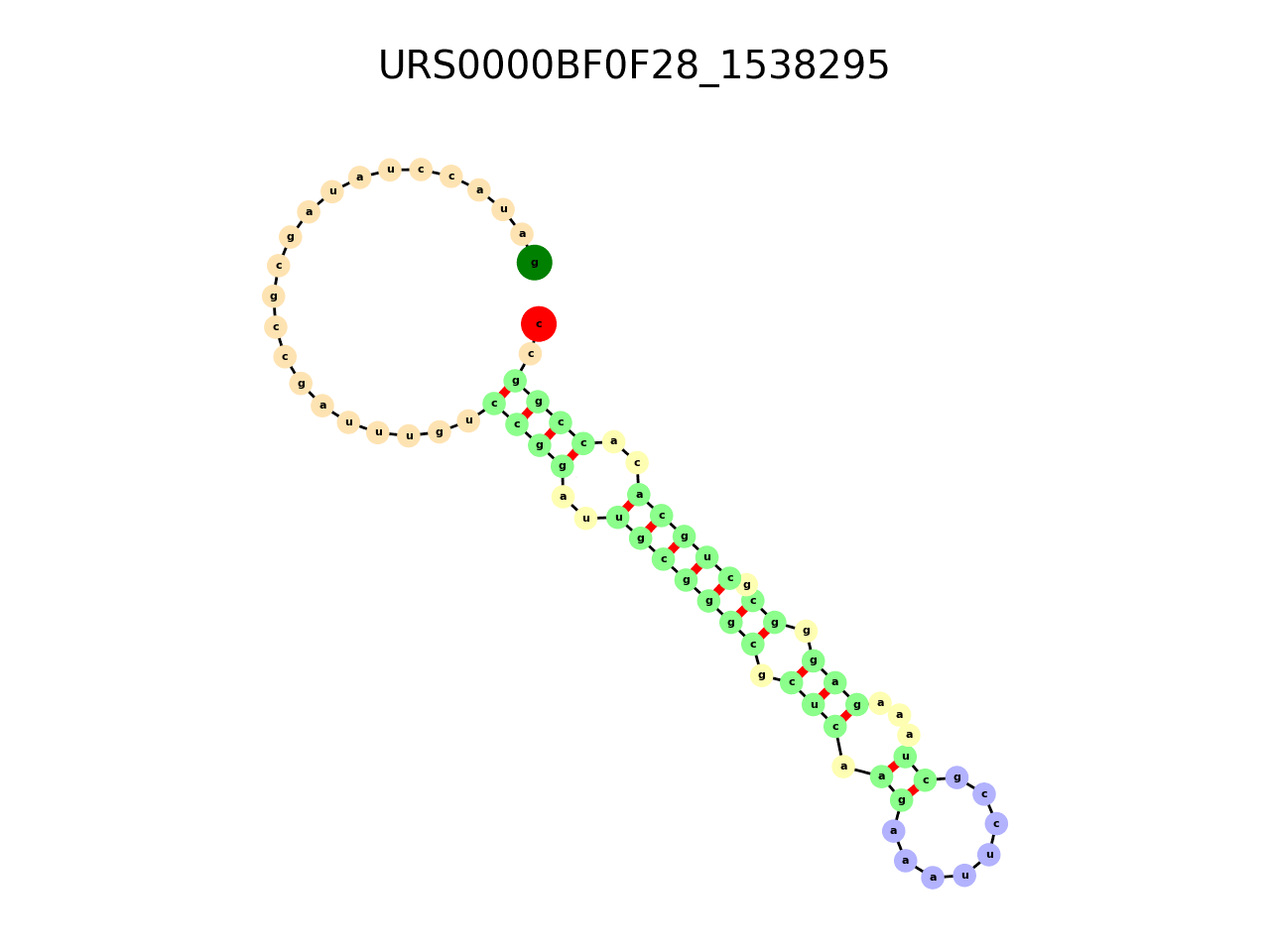 image of the secondary structure of the first Riboswitch match