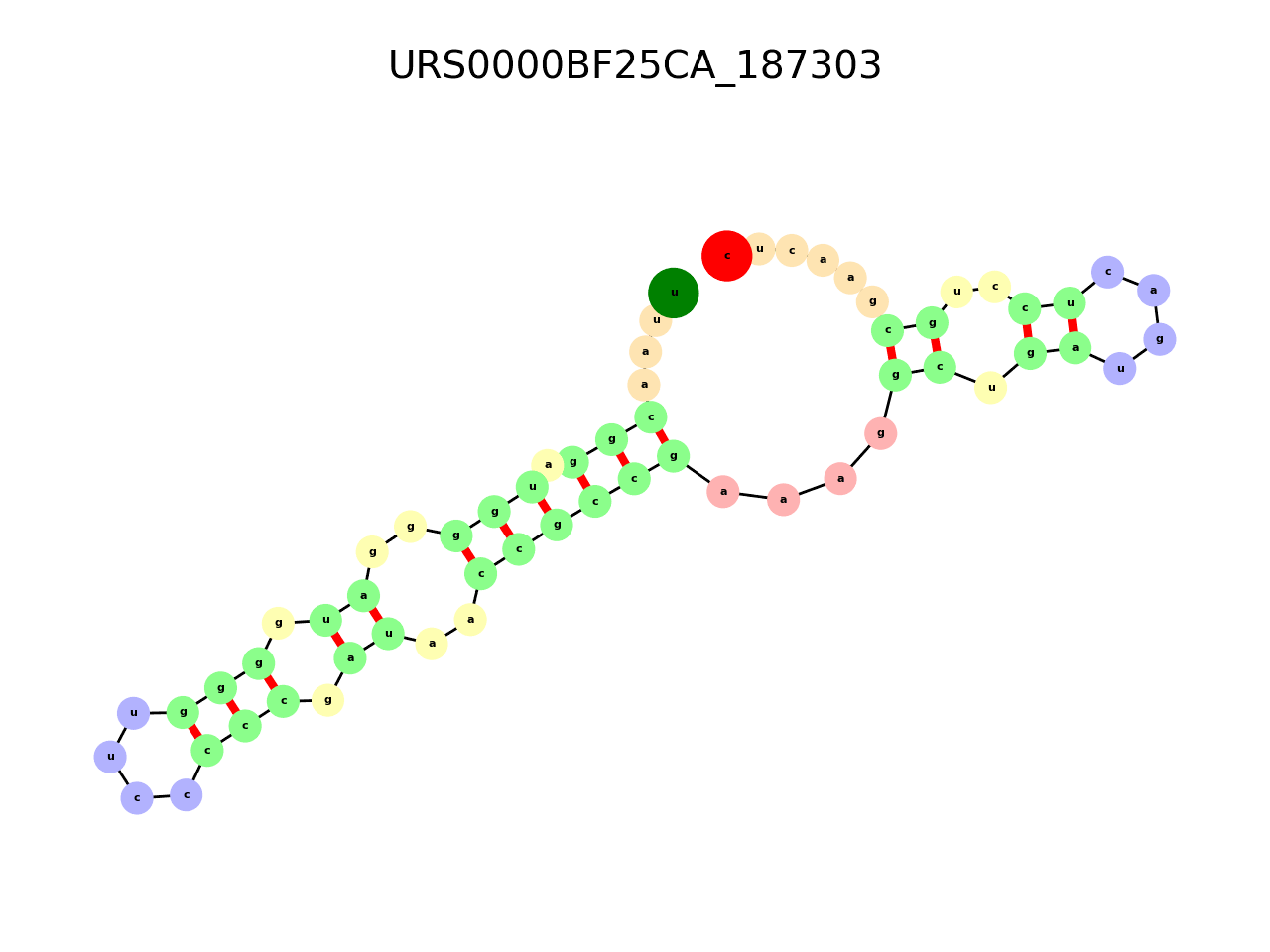 image of the secondary structure of the second Riboswitch match