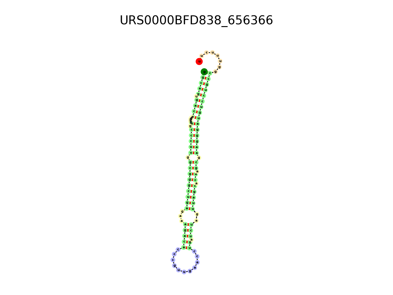 image of the secondary structure of the second Riboswitch match