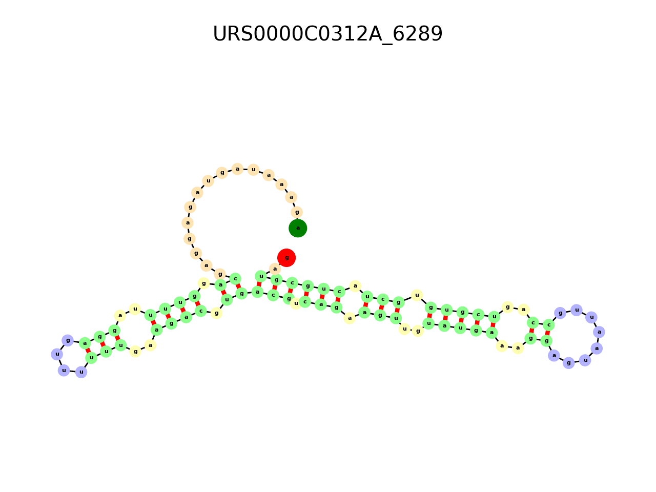 image of the secondary structure of the third Riboswitch match
